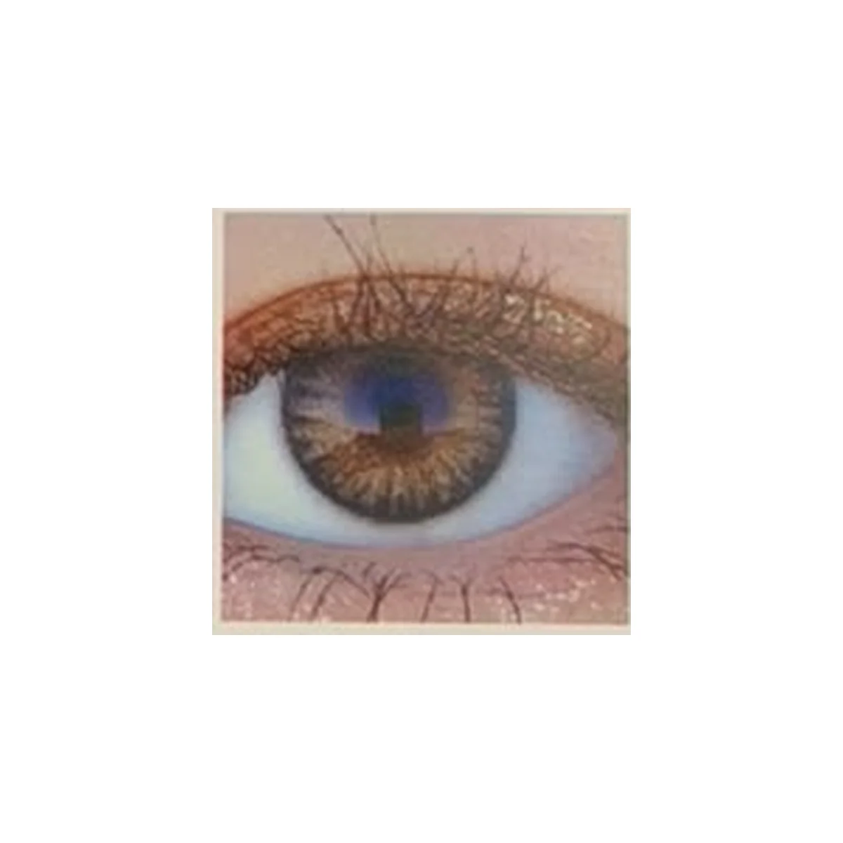 Optimus Non-Power Color Contact Lenses - 1 Pair view 3