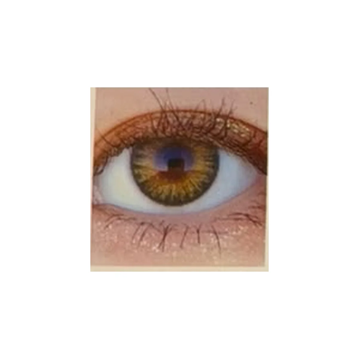 Optimus Non-Power Color Contact Lenses - 1 Pair view 5