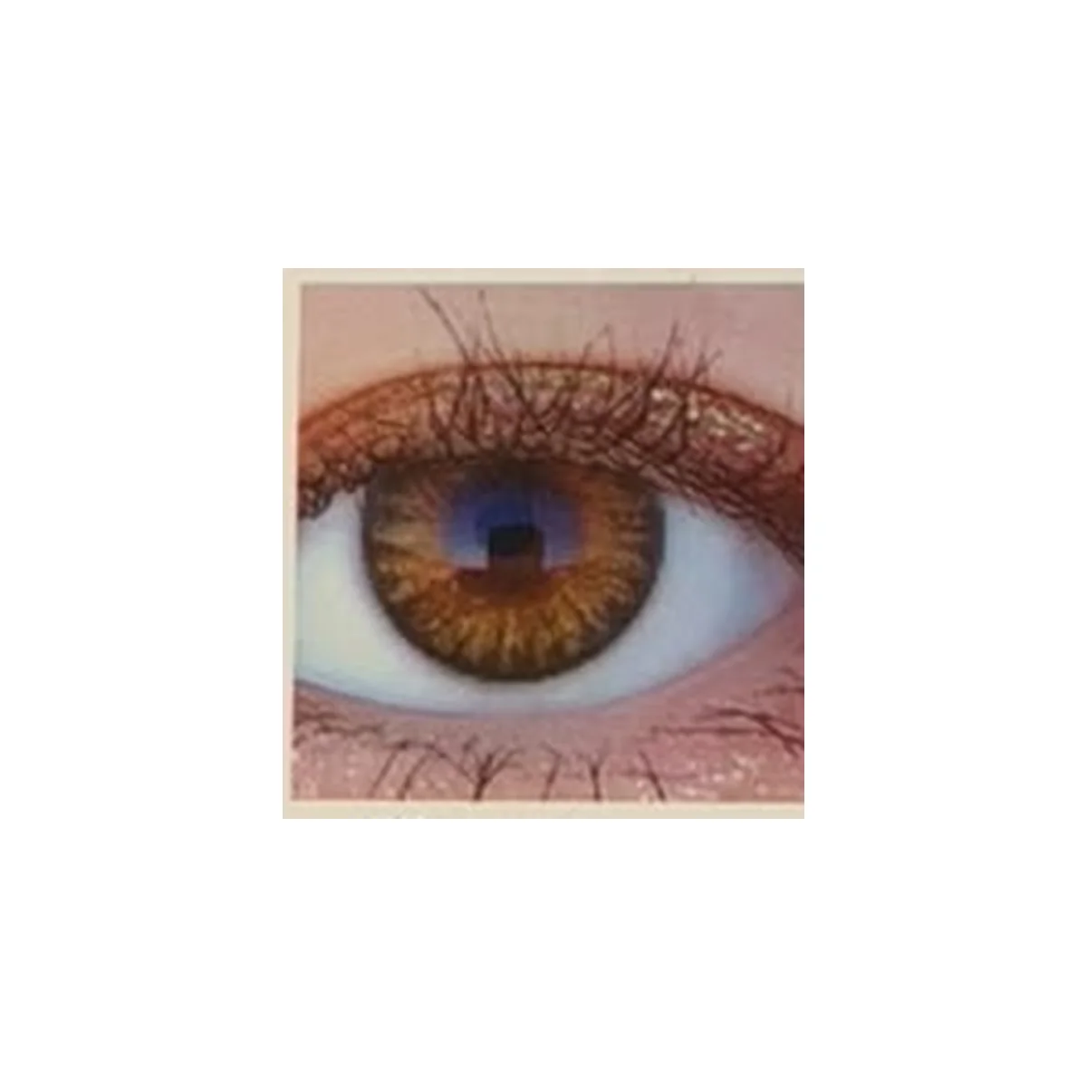 Optimus Non-Power Color Contact Lenses - 1 Pair view 2