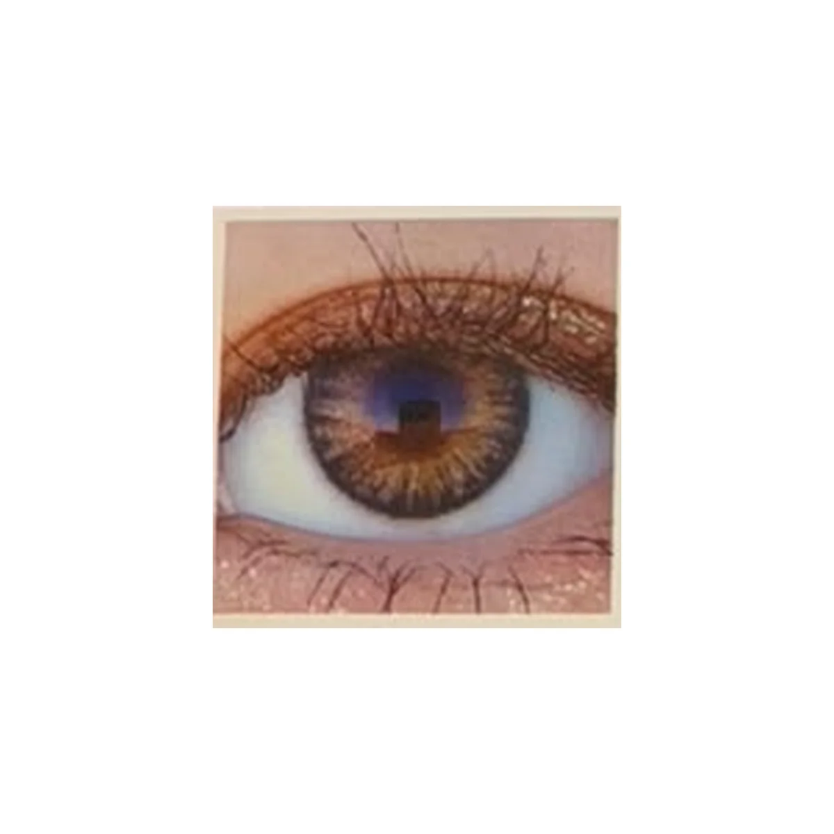 Optimus Non-Power Color Contact Lenses - 1 Pair